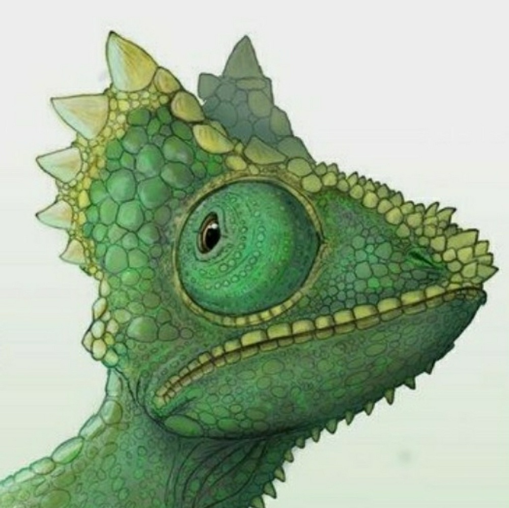 Meet your Posher, David l